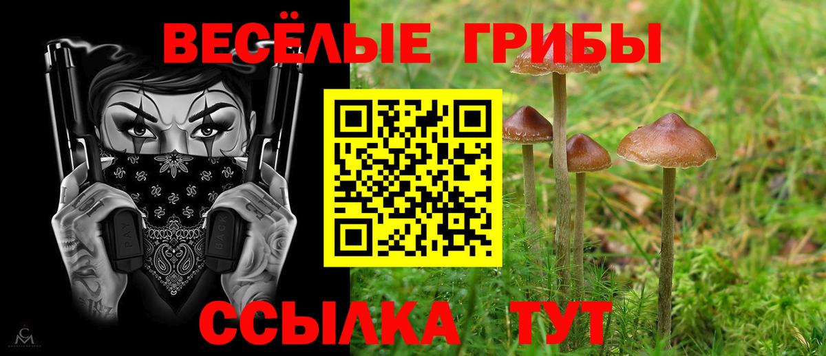 Галлюциногенные грибы Cubensis Унеча