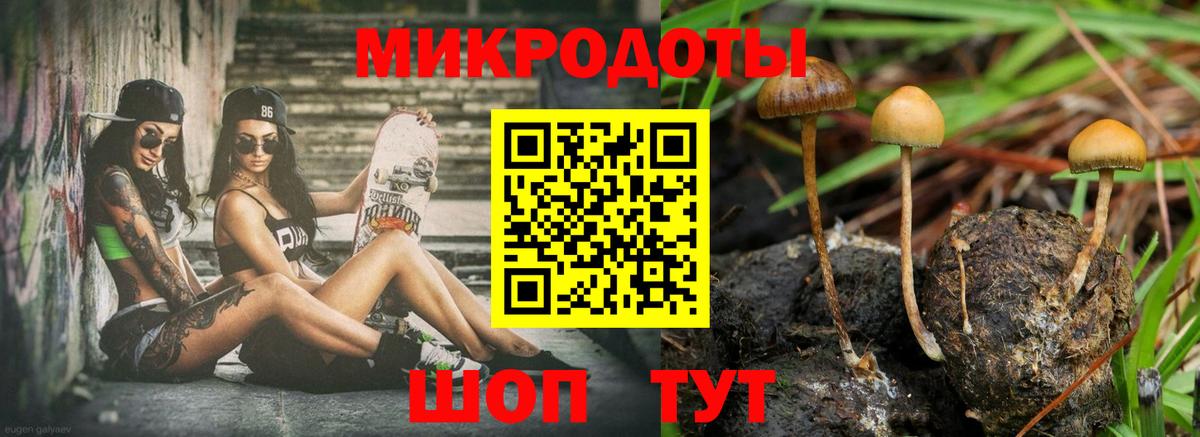 Псилоцибиновые грибы Magic Shrooms  Вход с VPN  Галлюциногенные грибы прущие грибы  Унеча 