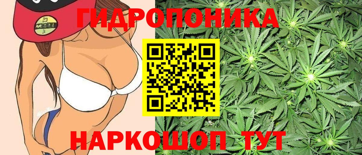 Конопля White Widow  Канабис White Widow  Вход с VPN  Унеча  Марихуана тримм 